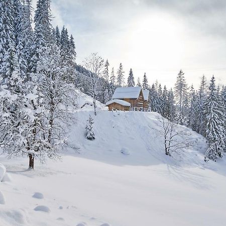 Chalets Almidylle 圣马丁安提奈各布里奇 外观 照片