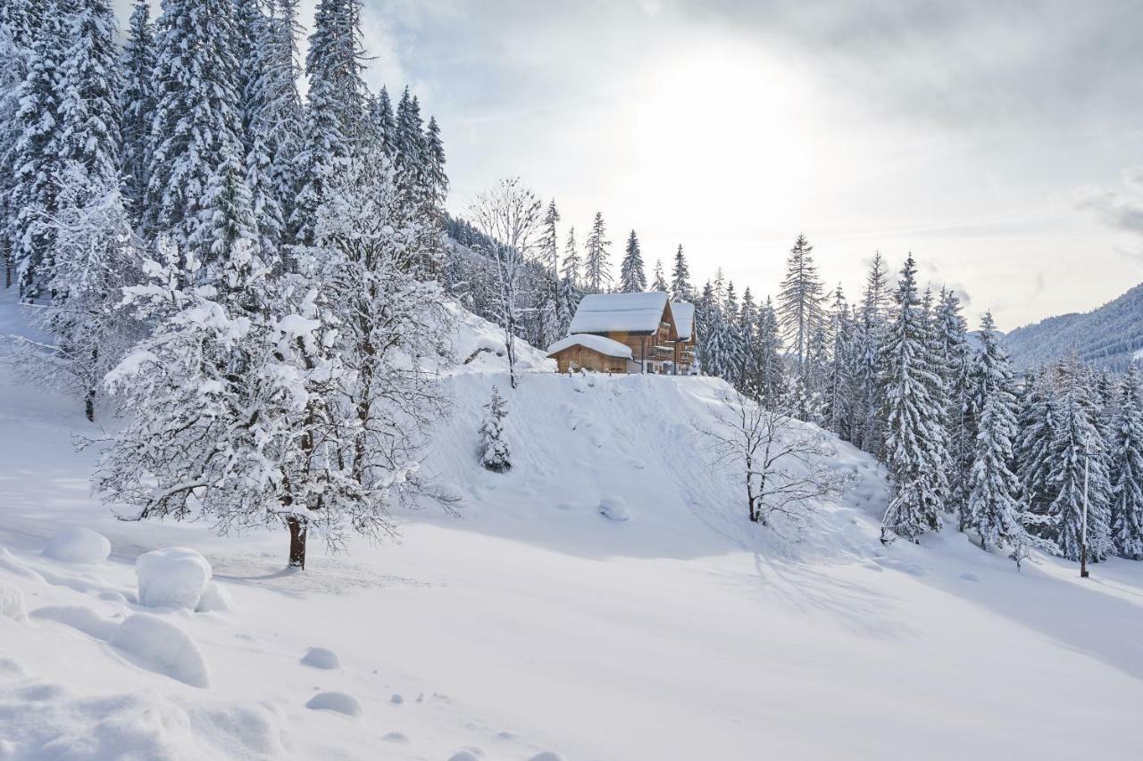 Chalets Almidylle 圣马丁安提奈各布里奇 外观 照片
